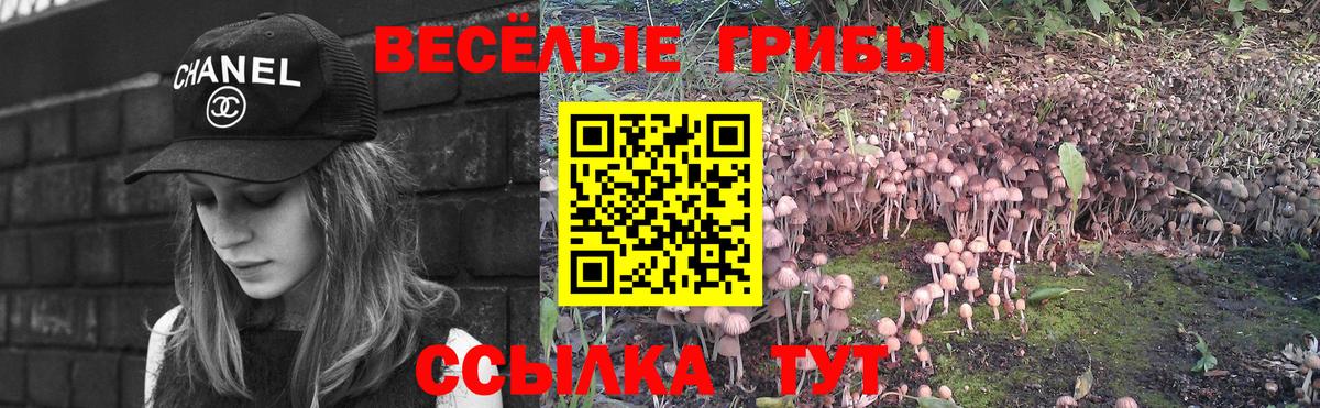 купить закладку  Галлюциногенные грибы ЛСД  Вход с VPN  Качканар 